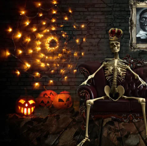 LED Spider Net Halloween Light
